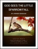 God Sees the Little Sparrow Fall